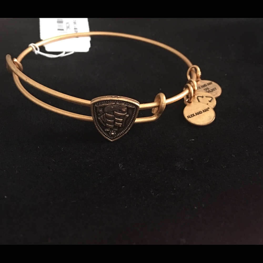 ALEX AND ANI STEADY VESSEL SLIDE BRACELET